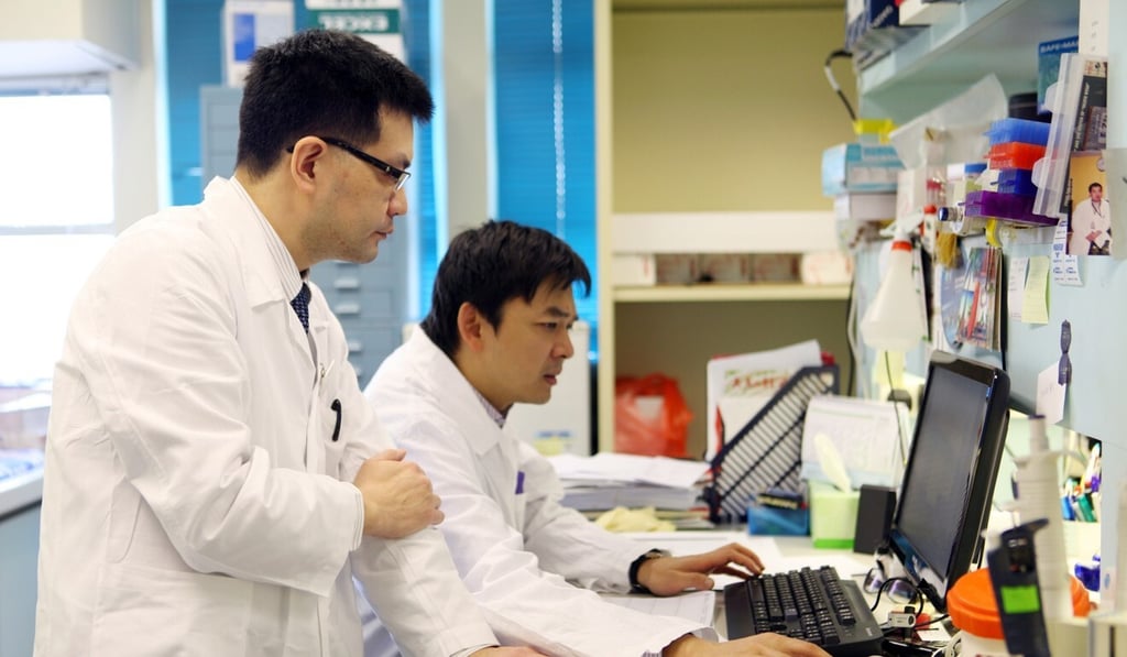 Professor Yuen Man-fung (left) analyses and discusses the results of hepatitis B research with a colleague. Photo: University of Hong Kong