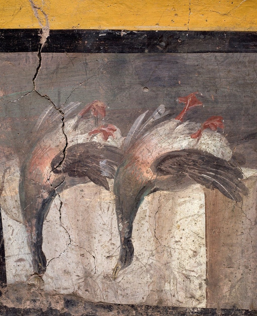 A fresco on an ancient counter depicting two ducks that was uncovered during excavations in Pompeii, Italy. Photo: Pompeii Archaeological Park / Ministry of Cultural Heritage and Activities and Tourism / Luigi Spina via Reuters A fresco on an ancient counter depicting two ducks that was uncovered during excavations in Pompeii, Italy. Photo: Pompeii Archaeological Park / Ministry of Cultural Heritage and Activities and Tourism / Luigi Spina via Reuters