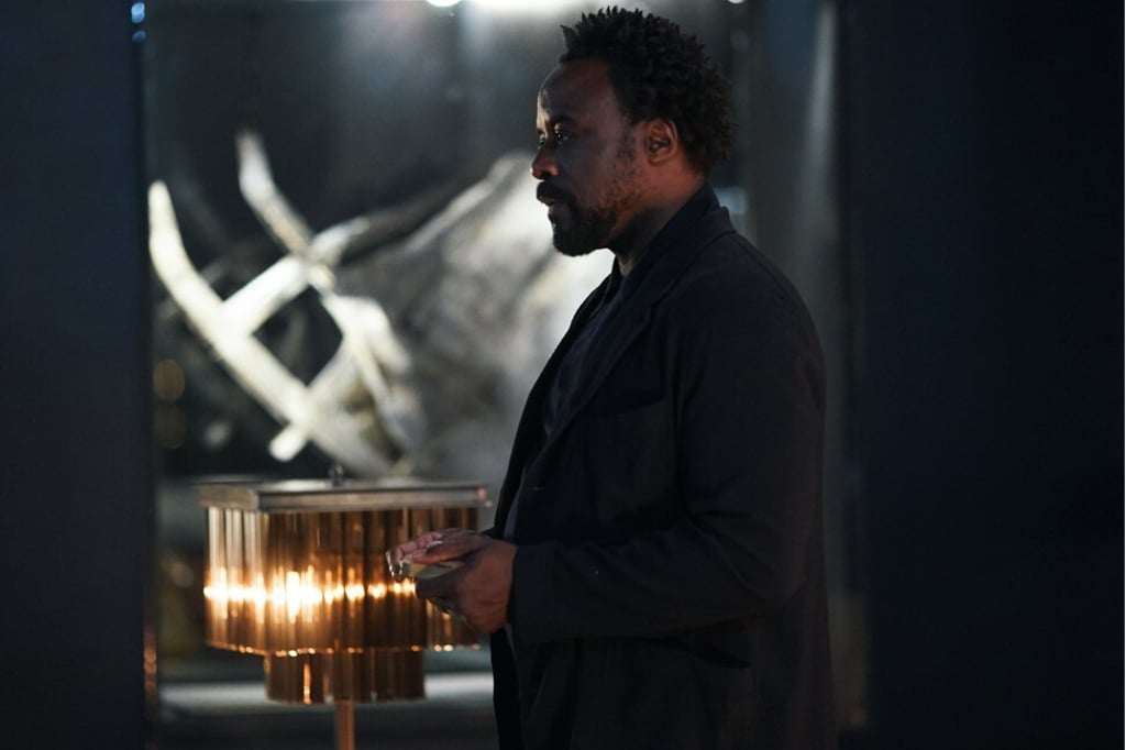 Ariyon Bakare as Lord Boreal in HBO’s His Dark Materials. Photo: Bad Wolf Production