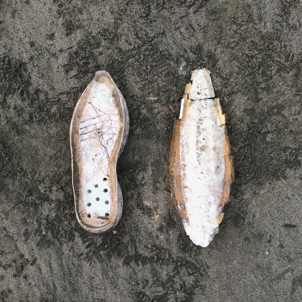 “Shoe sole – cuttlebone”, part of the Involuntary Pairs exhibition by artist Liina Klauss. Photo: courtesy Liina Klauss “Shoe sole – cuttlebone”, part of the Involuntary Pairs exhibition by artist Liina Klauss. Photo: courtesy Liina Klauss