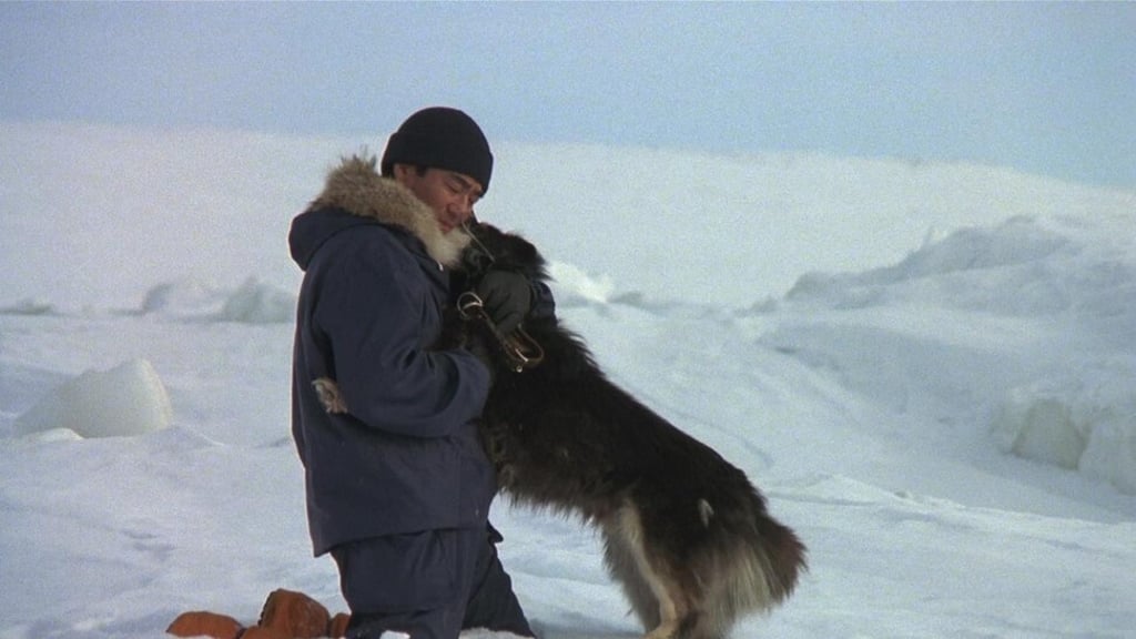 A still from Antarctica (1983).