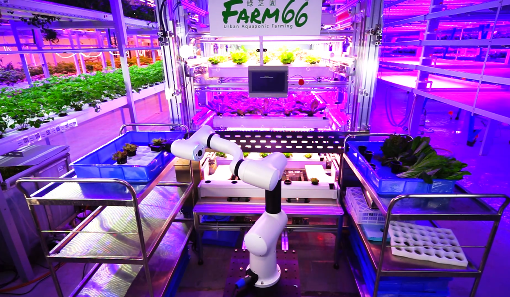 Inovo Robotics’ technology is being used to cultivate fresh organic produce at Farm66’s futuristic indoor farm inside an industrial factory building in Hong Kong. Photo: Farm66
