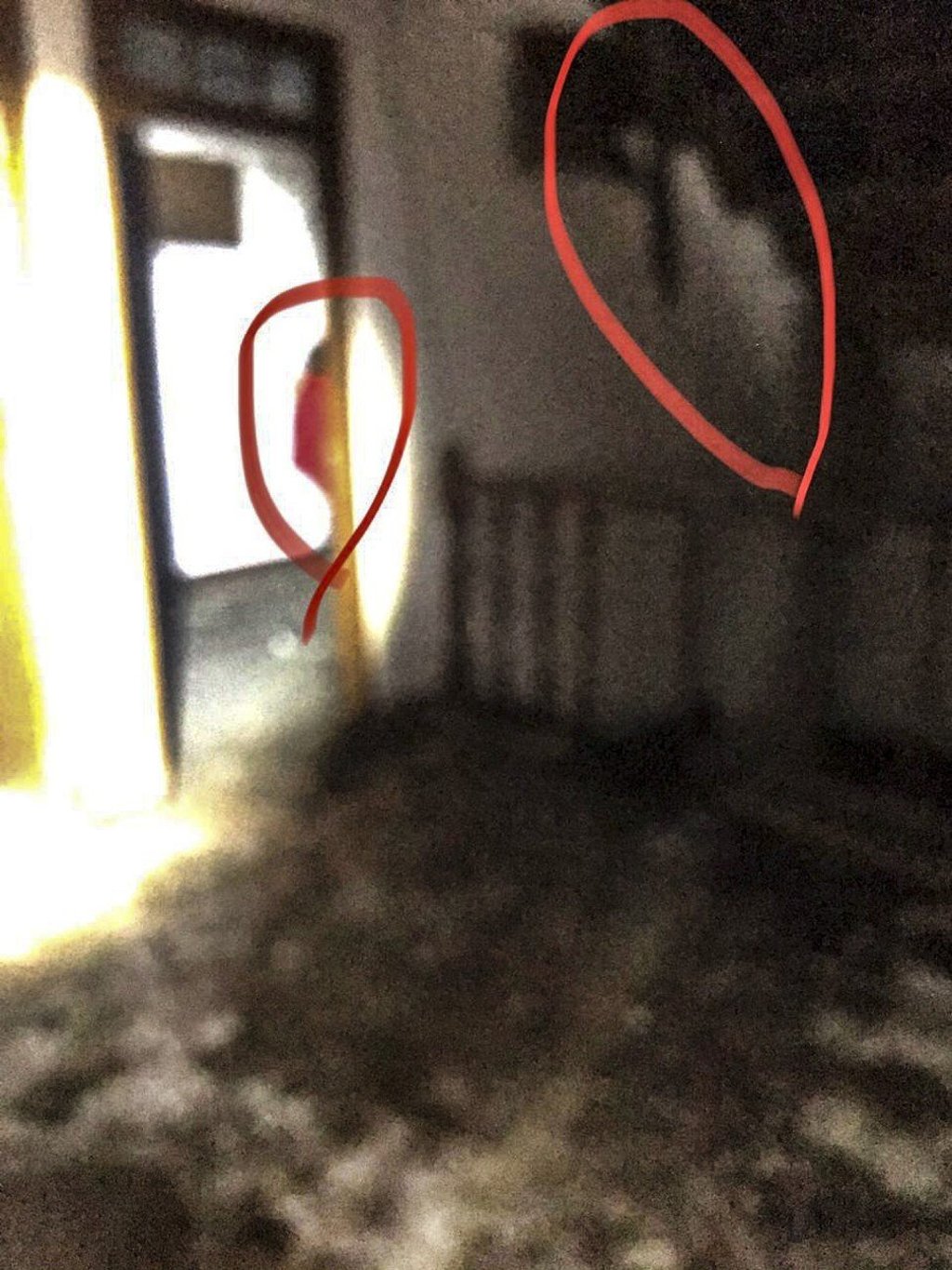 A photo which allegedly shows ghosts. Photo: courtesy of the FHI