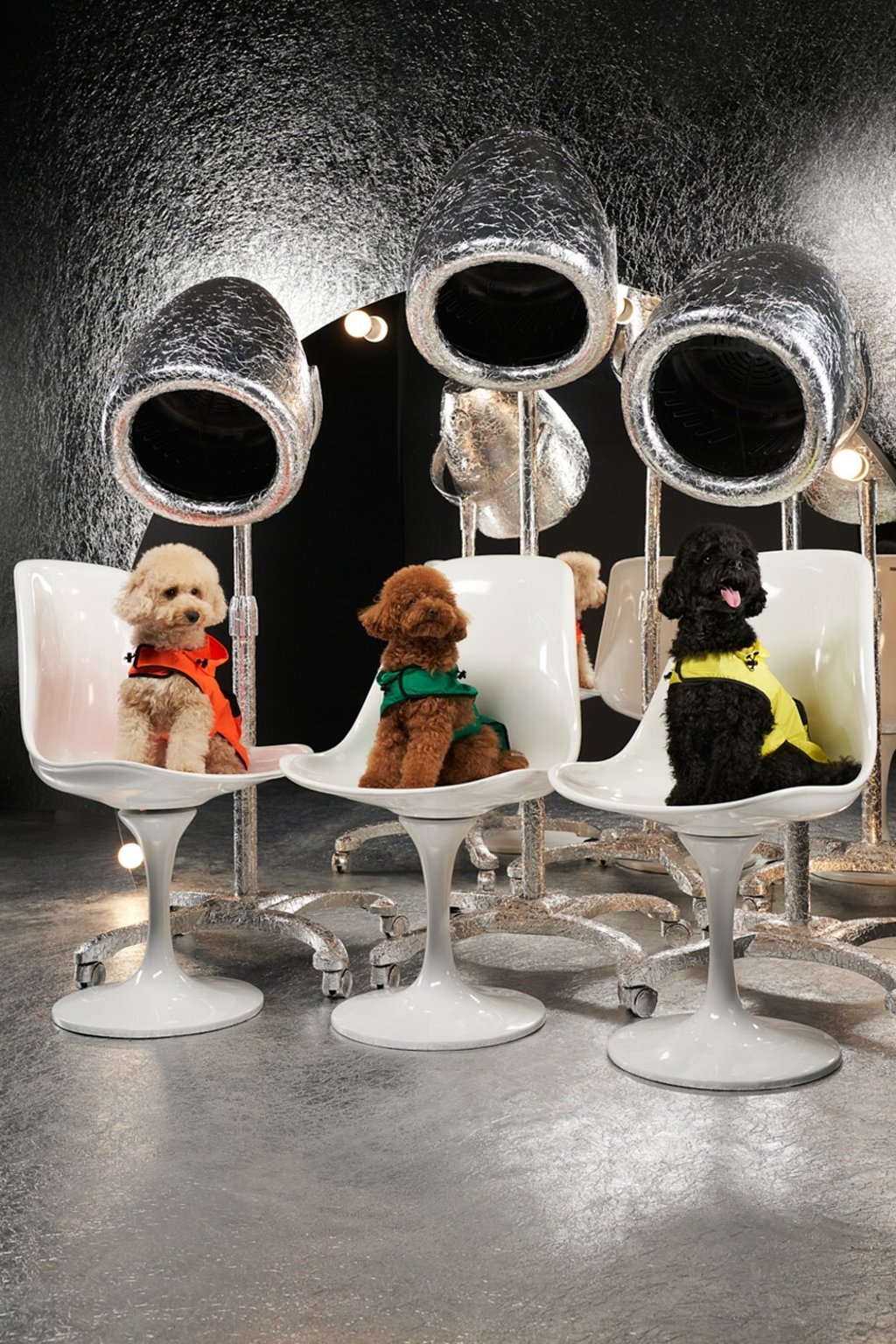 Moncler x Poldo Dog Couture collection Photo: Moncler