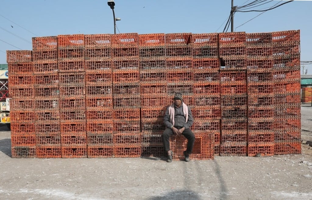 A market vendor sits near the empty cages meant for chickens at Delhi's Ghazipur's poultry market in New Delhi amid a bird flu scare. Photo: EPA-EFE