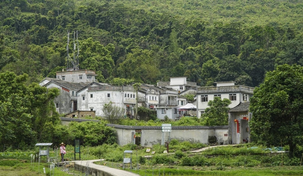 Lai Chi Wo, a Hakka village near Sha Tau Kok, is among those covered by the government’s subsidy scheme. Photo: Roy Issa
