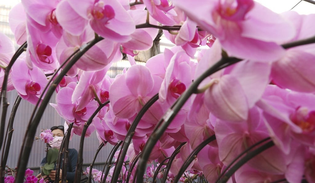 The government said on Tuesday the fairs would go ahead at the 15 venues as originally planned but some restrictions would be imposed due to the pandemic. Photo: K.Y. Cheng The government said on Tuesday the fairs would go ahead at the 15 venues as originally planned but some restrictions would be imposed due to the pandemic. Photo: K.Y. Cheng