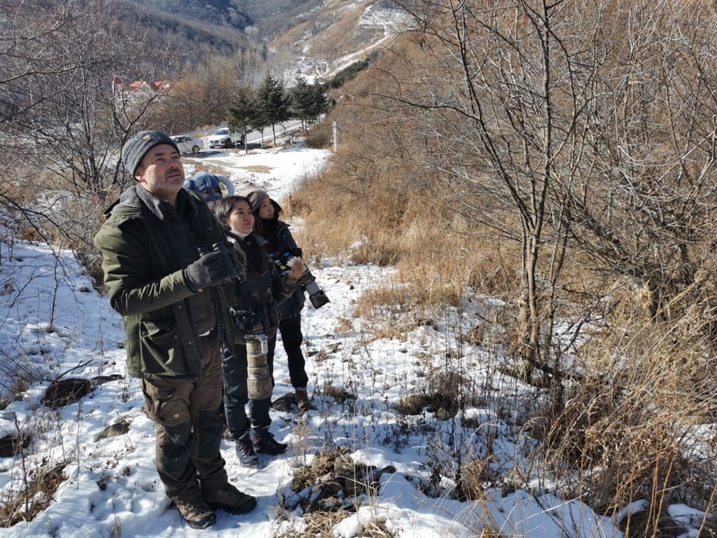 Li Siqi (middle) with conservation economist Terry Townshend (left) and friends birding on Beijing’s Mount Ling. Photo: Pavel Toropov