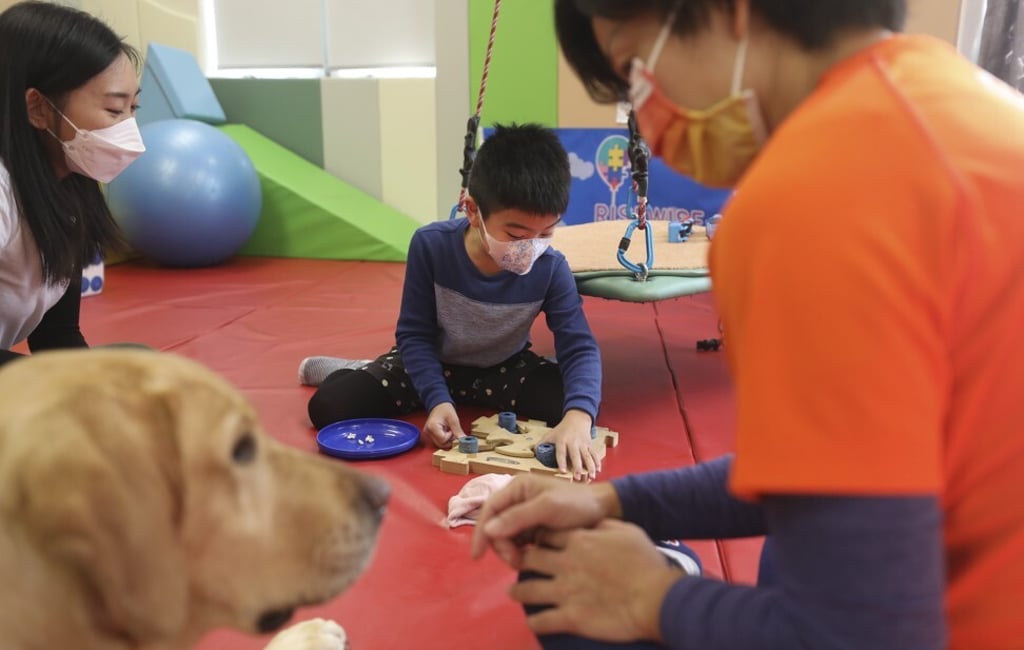 Therapy dog for child with anxiety discount