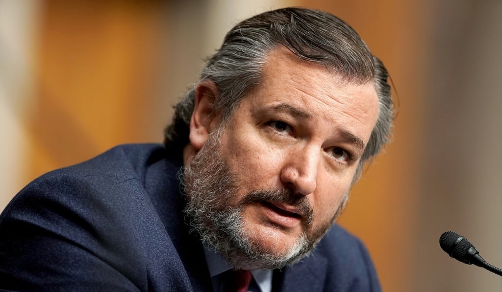 US Senator Ted Cruz questions nominee for UN ambassador Linda Thomas-Greenfield during her Senate Foreign Relations Committee confirmation hearing in Washington on January 27. Photo: Reuters