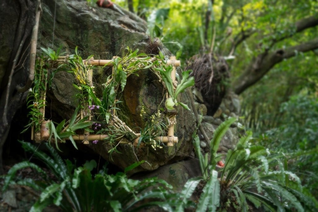 Ferns and flowering orchids form the word “ No”m part of artist Zheng Bo's living exhibition