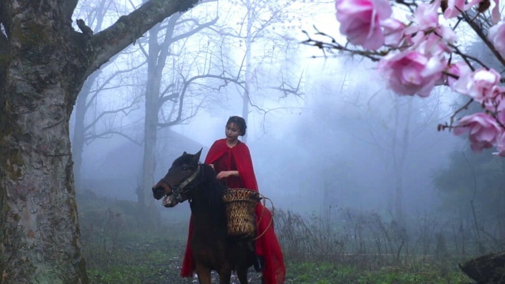 Li Ziqi’s videos have a cinematic quality. Photo: Li Ziqi Li Ziqi’s videos have a cinematic quality. Photo: Li Ziqi