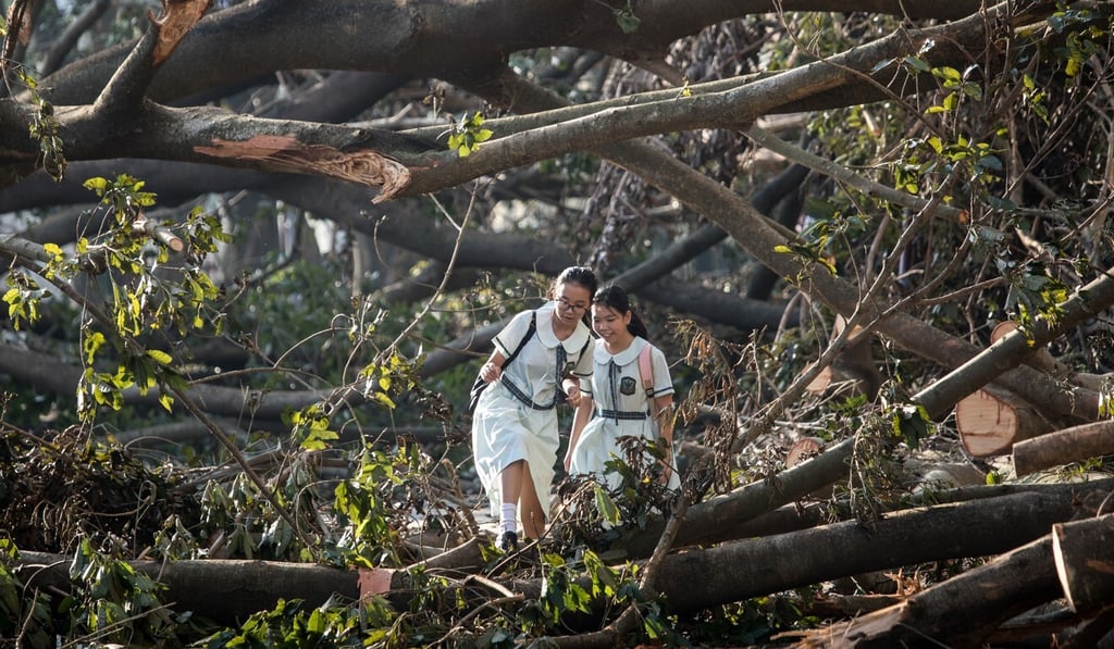 The amendments were first prompted by Typhoon Mangkhut, which left a trail of destruction in 2018. Photo: Apple Daily The amendments were first prompted by Typhoon Mangkhut, which left a trail of destruction in 2018. Photo: Apple Daily