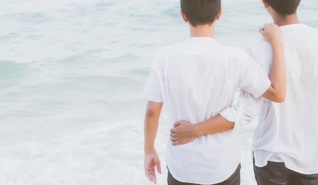 A mainland court recently upheld a ruling that a university textbook description of homosexuality as “a psychological disorder” was merely an “academic view” rather than a factual error. Photo: Shutterstock