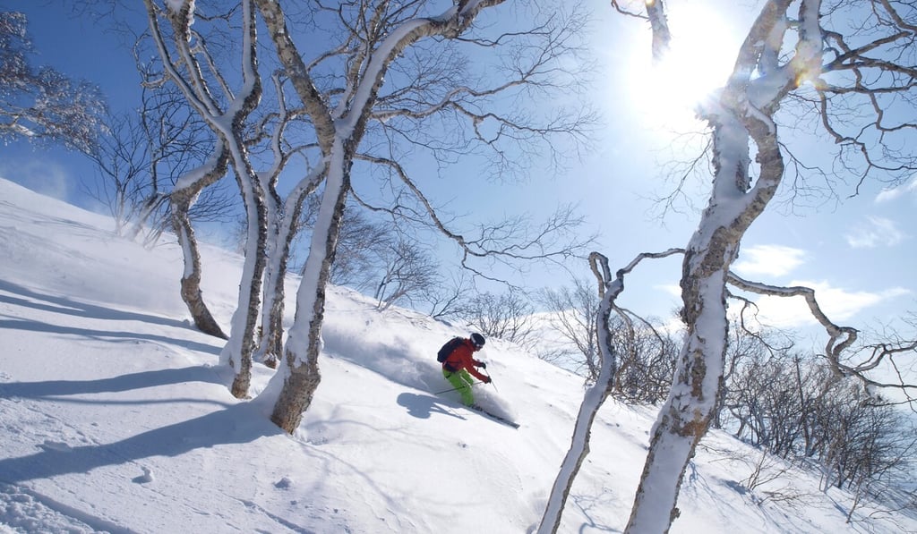 A skier descends a mountain slope with powder snow in Niseko, Japan. Photo: Corbis A skier descends a mountain slope with powder snow in Niseko, Japan. Photo: Corbis