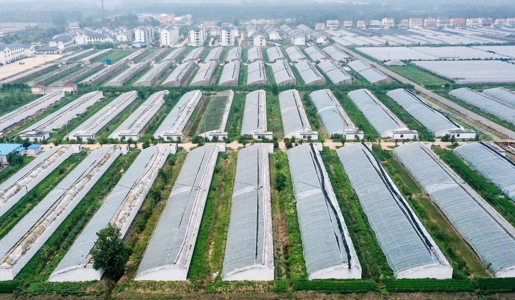 Wan Jianmin, vice-president of the Chinese Academy of Agricultural Sciences, says China has more than 520,000 preserved resources but fewer than 15,000 have been accurately identified. Photo: Xinhua Wan Jianmin, vice-president of the Chinese Academy of Agricultural Sciences, says China has more than 520,000 preserved resources but fewer than 15,000 have been accurately identified. Photo: Xinhua