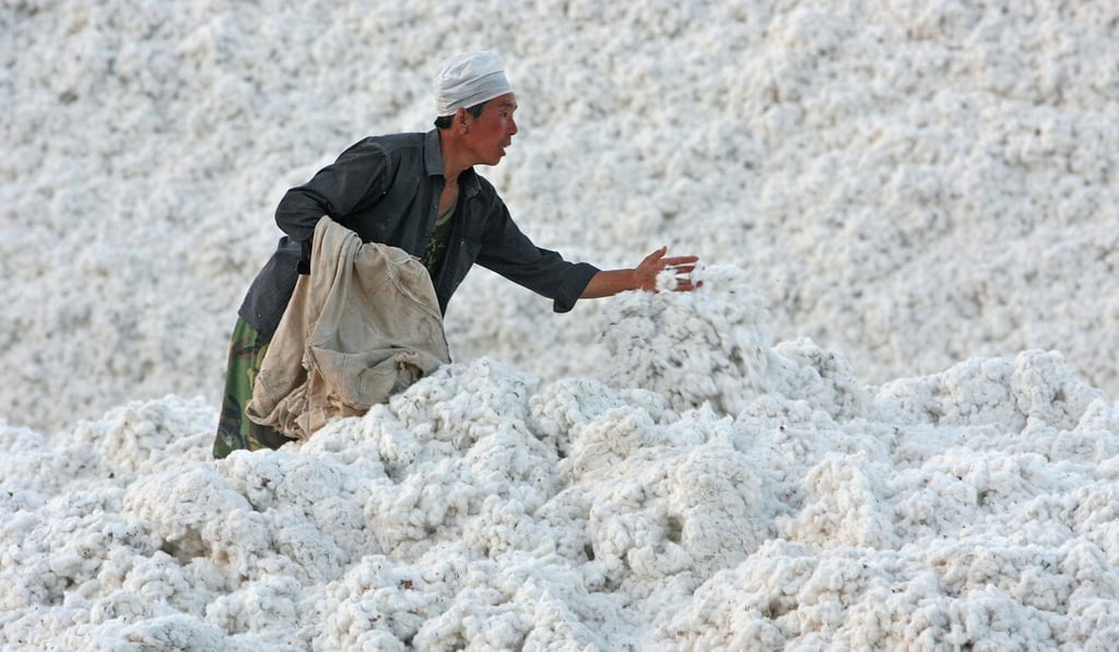 Workers stock a harvest of cotton near Korla in Xinjiang province. Photo: Getty Images Workers stock a harvest of cotton near Korla in Xinjiang province. Photo: Getty Images