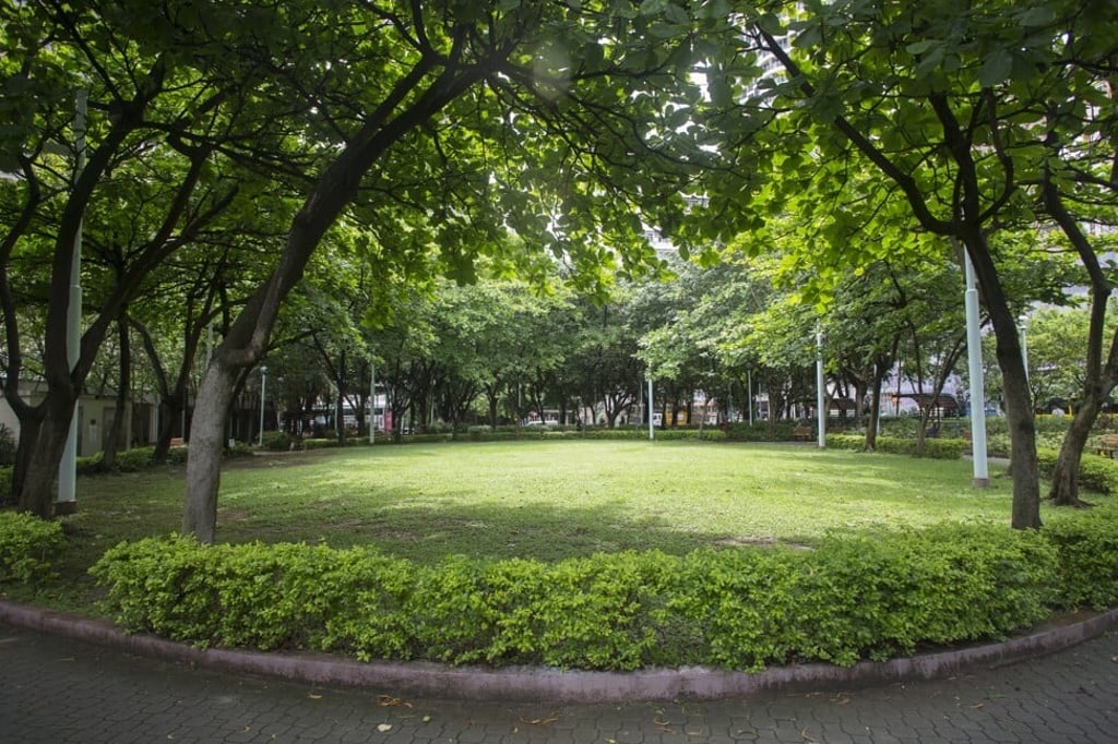 Cadogan Street Temporary Garden in Kennedy Town seen in May 2016. The Civil Engineering and Development Department has included the park in its soil decontamination project in Kennedy Town. Photo: Xiaomei Chen Cadogan Street Temporary Garden in Kennedy Town seen in May 2016. The Civil Engineering and Development Department has included the park in its soil decontamination project in Kennedy Town. Photo: Xiaomei Chen