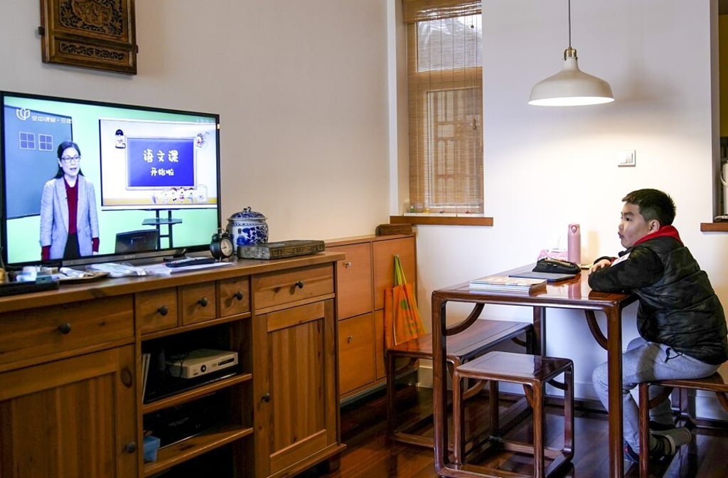 A primary school pupil attends an online class at home in Shanghai. About 90 per cent of the estimated 1 million off-campus education providers in China are small enterprises that train fewer than 1,000 students a year, according to a report published last year by consulting firm Oliver Wyman. Photo: Reuters A primary school pupil attends an online class at home in Shanghai. About 90 per cent of the estimated 1 million off-campus education providers in China are small enterprises that train fewer than 1,000 students a year, according to a report published last year by consulting firm Oliver Wyman. Photo: Reuters