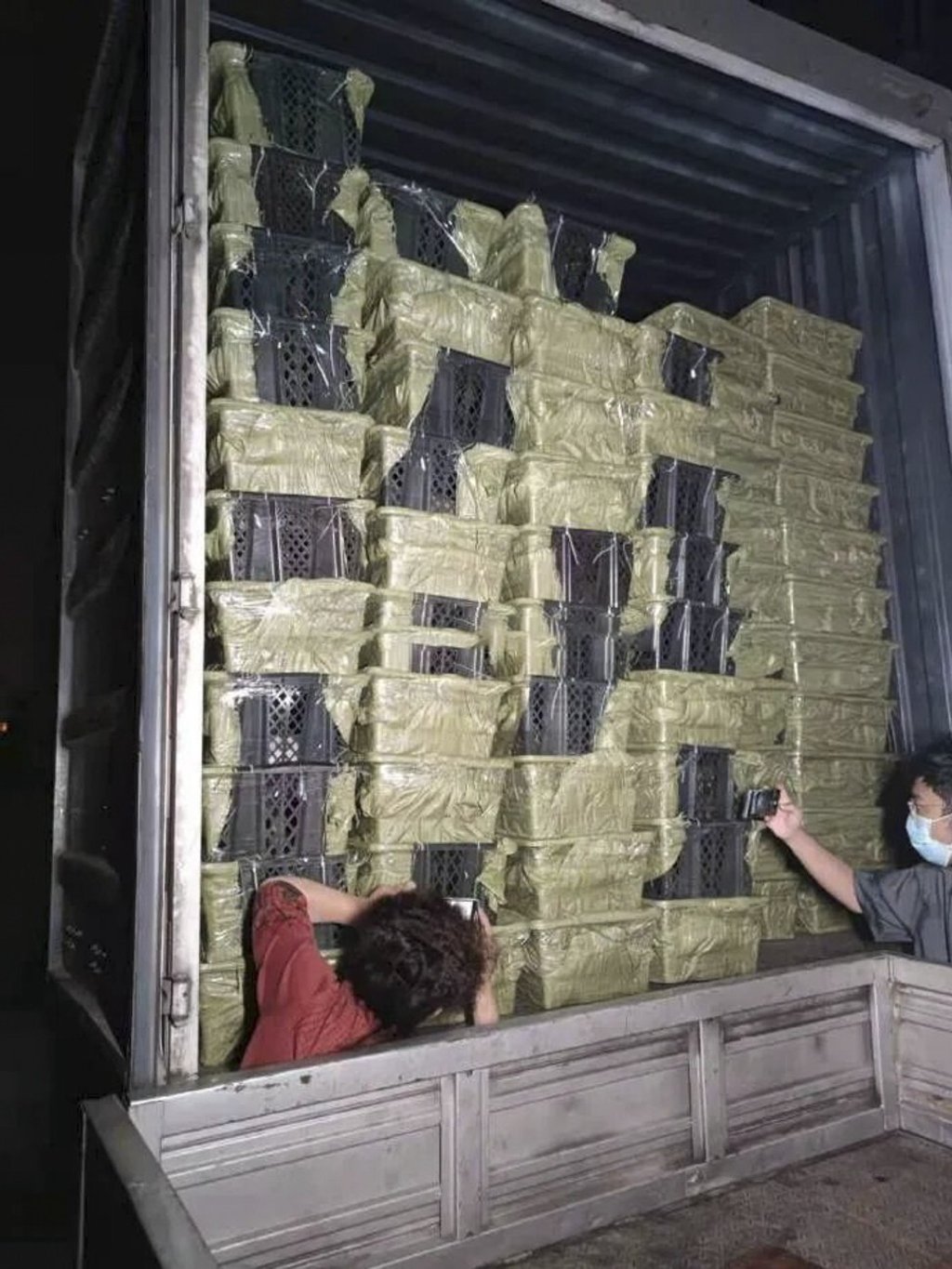 Activists said the animals had trouble breathing in the plastic wrapped boxes and were screeching in distress when they arrived. Photo: handout