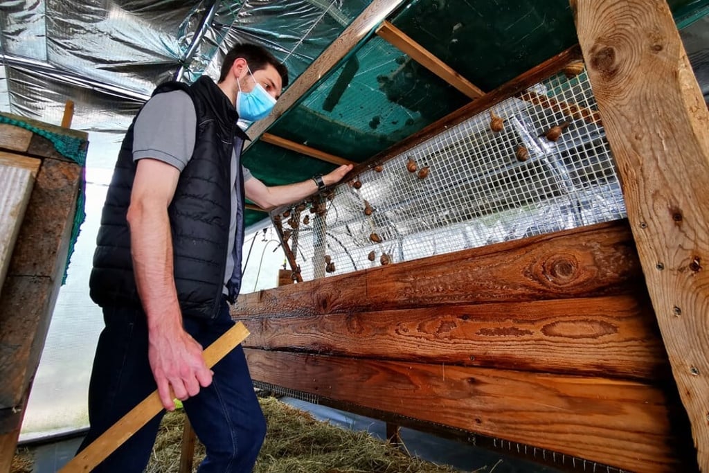 French snail grower and soap maker Damien Desrocher. Photo: Reuters/Ardee Napolitano French snail grower and soap maker Damien Desrocher. Photo: Reuters/Ardee Napolitano