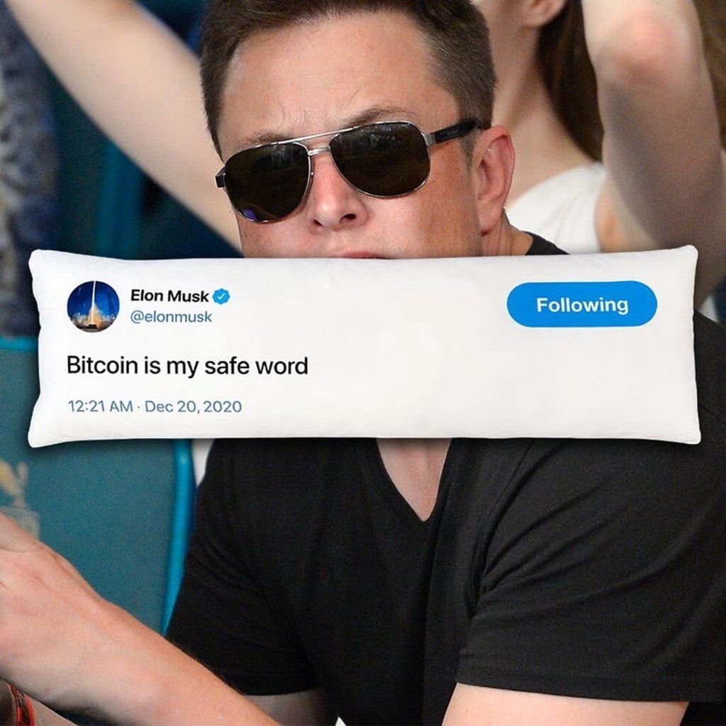 A Pizzaslime Tweet pillow. Photo: Courtesy of Pizzaslime