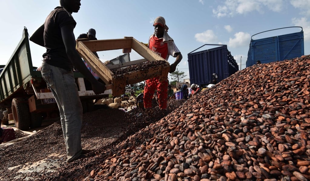 Workers at a cocoa-sorting centre in Soubre in the Ivory Coast in March 2017. The chocolate industry is indirectly driving massive and illegal deforestation in Ivory Coast, fuelling a catastrophic decline in wildlife, green groups say. Photo: AFP Workers at a cocoa-sorting centre in Soubre in the Ivory Coast in March 2017. The chocolate industry is indirectly driving massive and illegal deforestation in Ivory Coast, fuelling a catastrophic decline in wildlife, green groups say. Photo: AFP