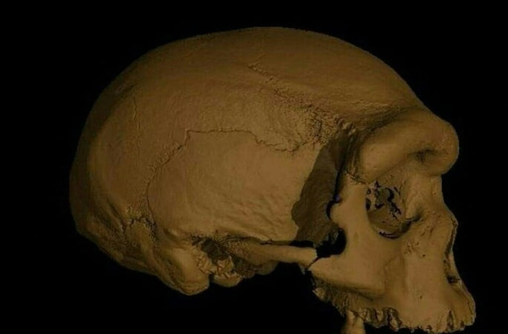 Scientists announced Friday that a skull discovered in northeast China represents a newly discovered human species they have named Homo longi or “Dragon Man”. Photo: AFP/EurekAlert! /Xijun Ni
