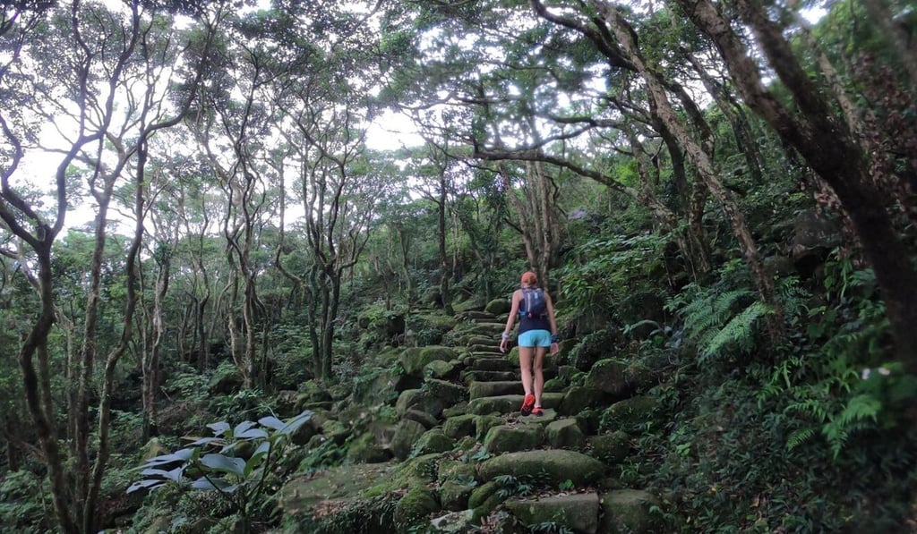 Good hikes with shade are crucial during Hong Kong’s hottest month. Photo: Handout Good hikes with shade are crucial during Hong Kong’s hottest month. Photo: Handout