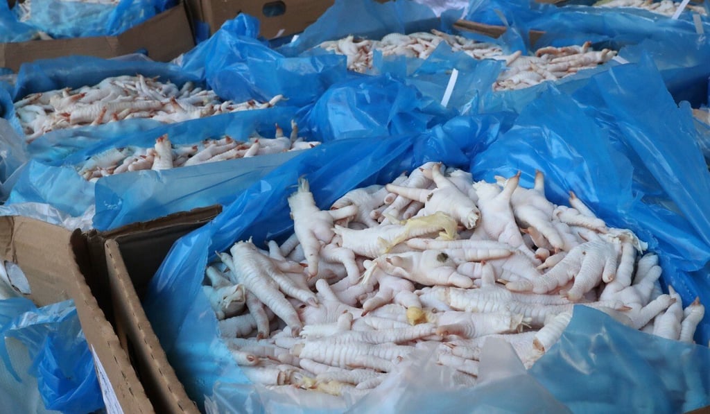 Frozen chicken feet seized during an anti-smuggling bust are displayed by customs officials last year. Photo: Edmond So Frozen chicken feet seized during an anti-smuggling bust are displayed by customs officials last year. Photo: Edmond So