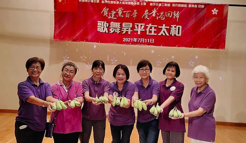 The little-known ‘Modern Mammy Group’ is among the newly empowered groups under Hong Kong’s radically overhauled electoral system. Photo: Facebook The little-known ‘Modern Mammy Group’ is among the newly empowered groups under Hong Kong’s radically overhauled electoral system. Photo: Facebook
