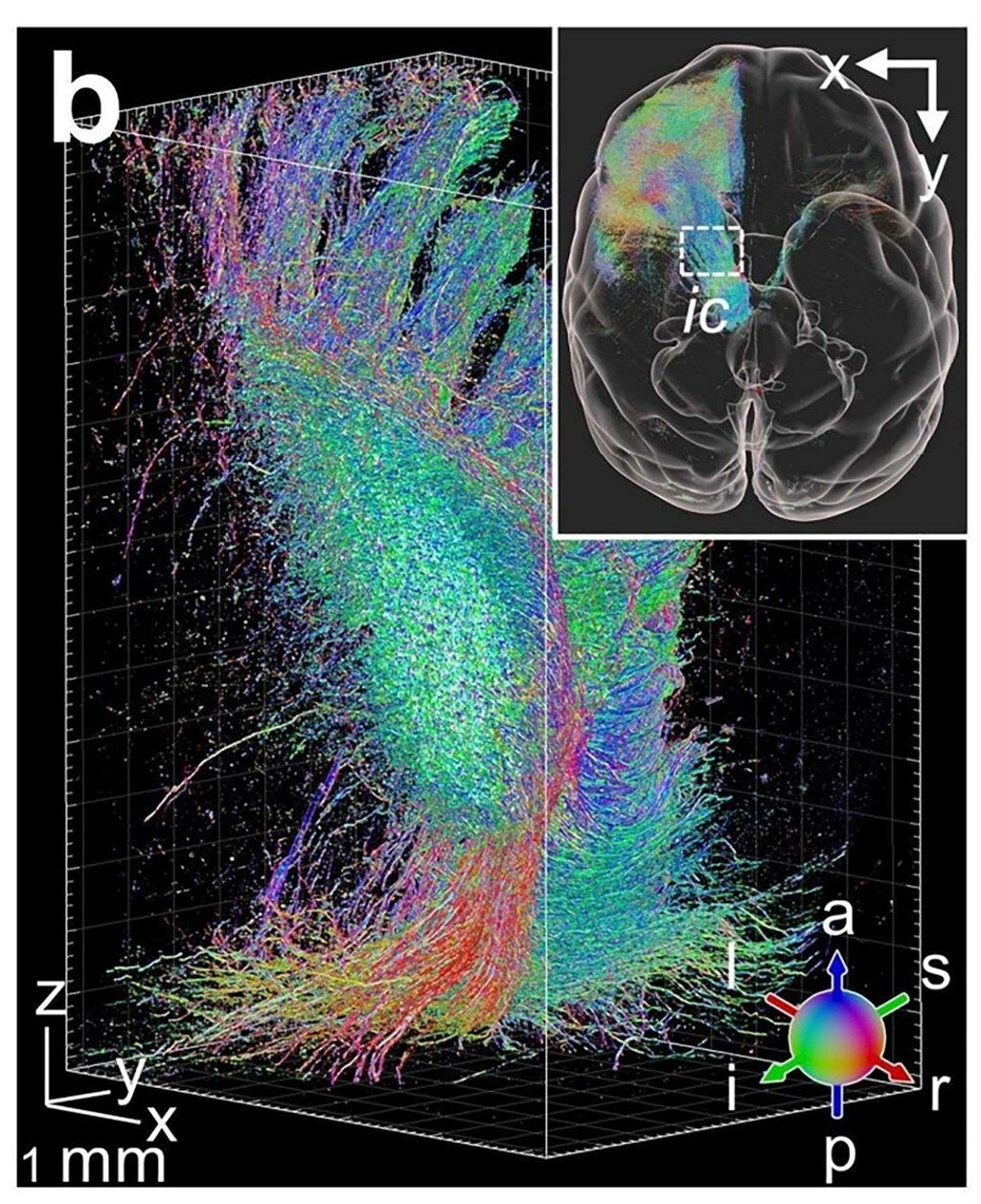 The image provides an unprecedented level of detail. Photo: Handout