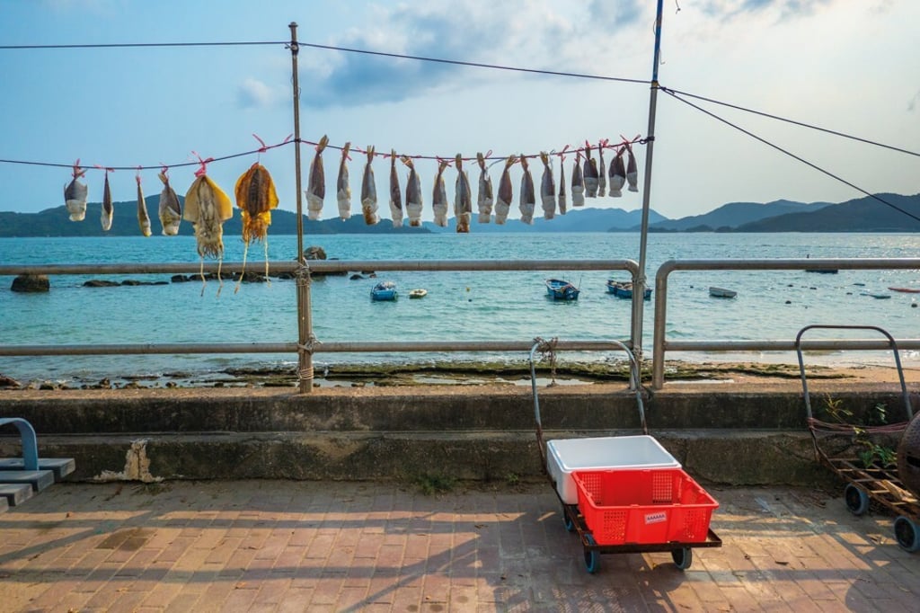 A row of fish drying in the sun on a line beside Peng Chau’s waterfront serves as a reminder of the island’s historic links to Hong Kong’s fishing industry.