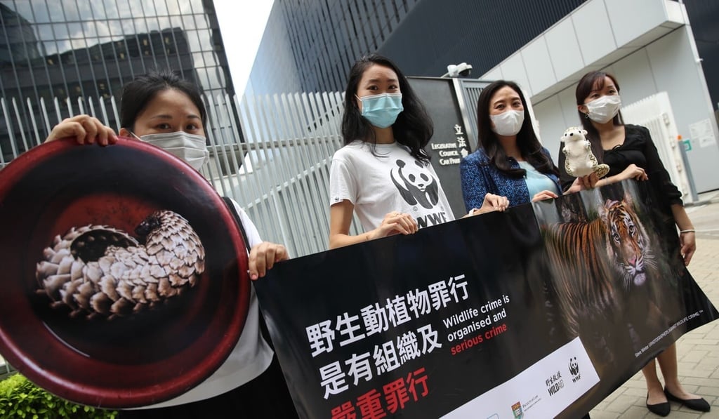 Claudia Cheng of Wild Aid (left), Kitty Tam of WWF-Hong Kong, lawmaker Elizabeth Quat and ADM Capital Foundation’s Christie Wong before the Legislative Council vote on the bill earlier on Wednesday. Photo: Edmond So