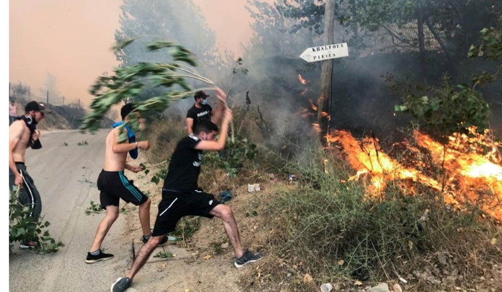 People attempt to put out a fire in the mountainous Tizi Ouzou province, east of Algiers, Algeria, earlier this month. Photo: Reuters