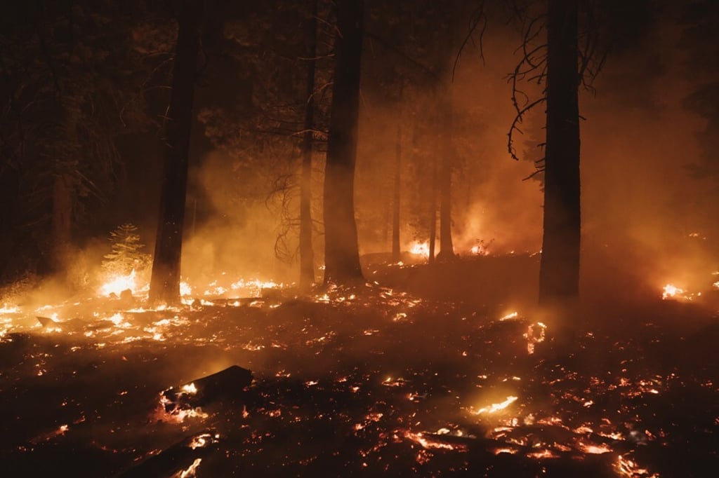 A controlled burn used as a preventive measure during the Caldor Fire in Christmas Valley, South Lake Tahoe, California on Wednesday. Photo: Bloomberg