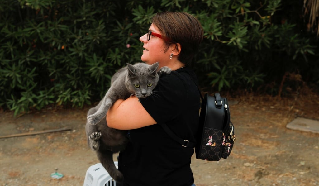 A resident carries a cat while being evacuated due to a fire on Sierra Bermeja mountain, in Estepona, Spain on Thursday. Photo: Reuters