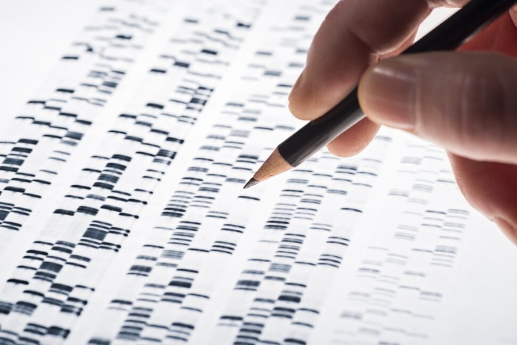One of the research papers flagged by Moreau and withdrawn by Springer Nature examined DNA information from Han, Tibetan, Uygur and Hui in China. Photo: Shutterstock