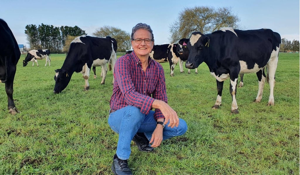 Researcher Lindsay Matthews said the idea of toilet training cows was initially a throwaway joke. Photo: Research Institute for Farm Animal Biology via AFP