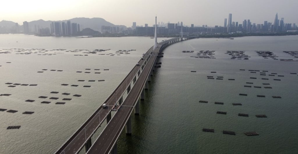 The Greater Bay Area is a dynamic economic region that is home to a large and still-growing affluent class. Photo: Martin Chan