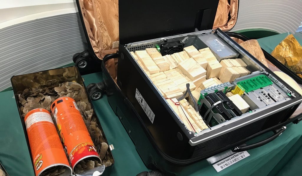 Traffickers in 2017 disguised pangolin scales as potato chips and concealed worked ivory in computer cases. Photo: SCMP / Christy Leung