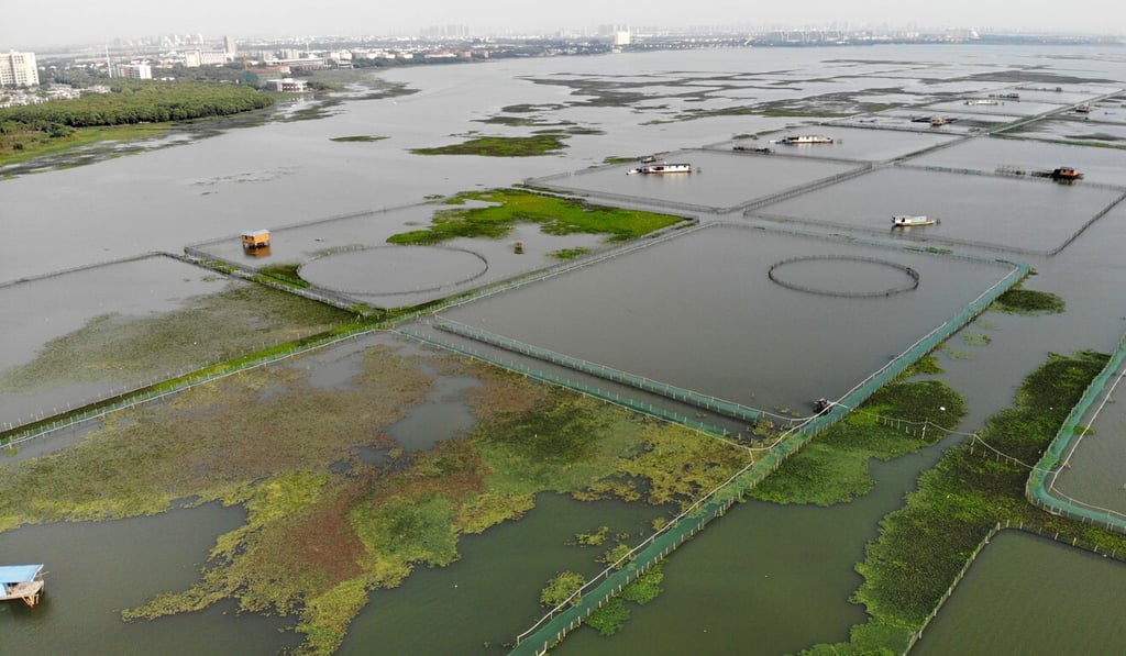 Aerial shot of hairy crab farms on Yangcheng Lake in China. Photo: SCMP