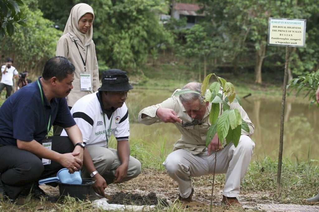 Britain’s Prince Charles, right, smells the earth where he plants an endangered Bulian tree in the Harapan Rainforest in Jambi Province, Indonesia in 2008. Photo: AP