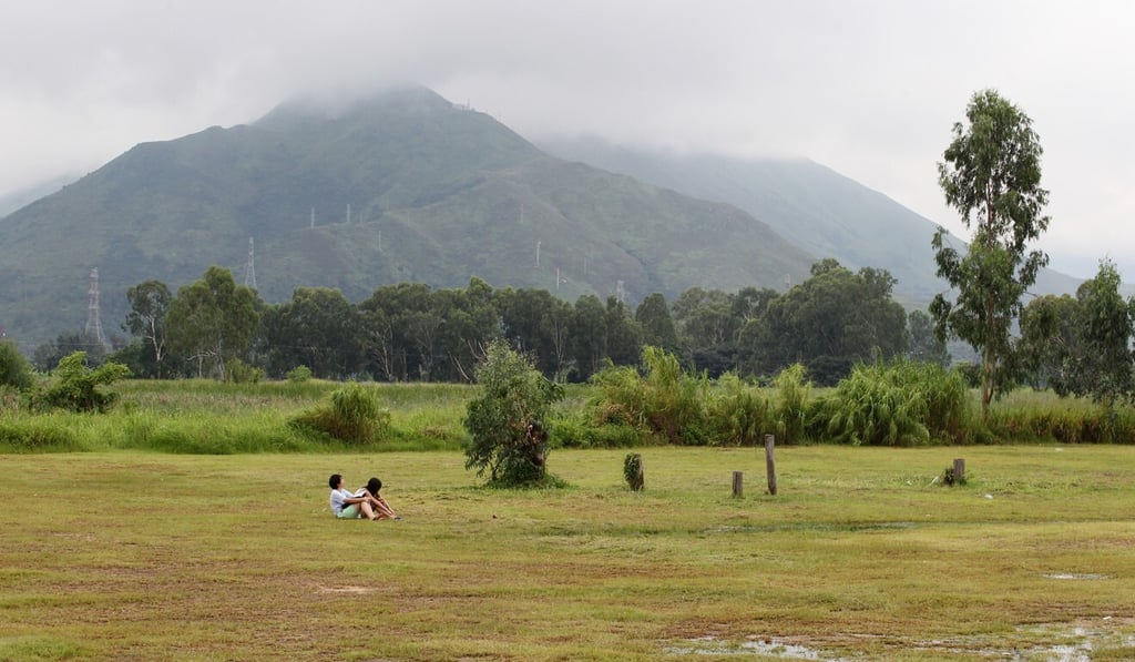 The Nam Sang Wai area in Yuen Long. Photo: Felix Wong