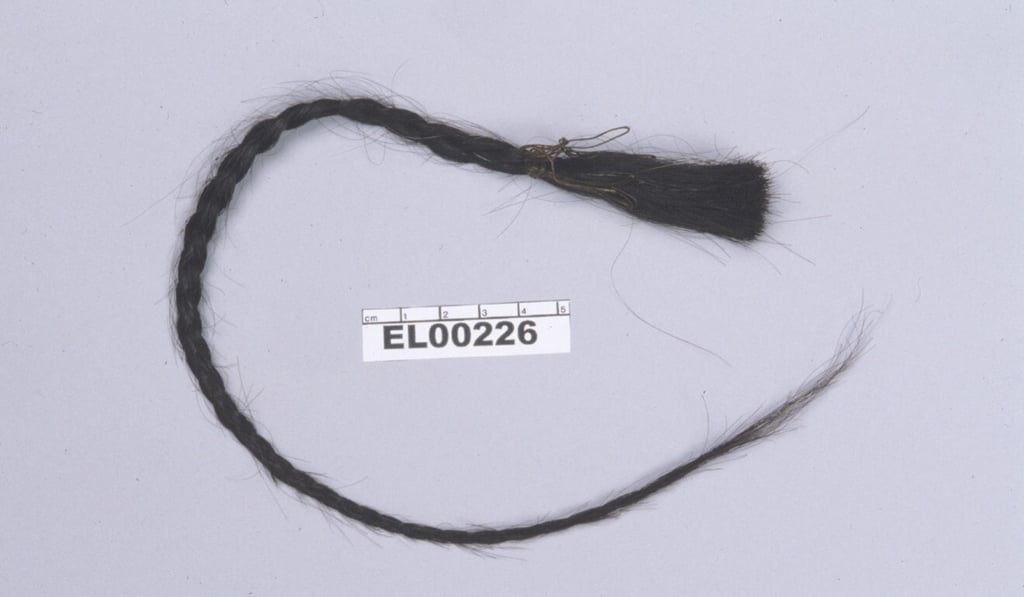 DNA was extracted from hair from Lakota Sioux leader Sitting Bull’s scalp lock. Photo: Eske Willerslev/University of Cambridge via AFP DNA was extracted from hair from Lakota Sioux leader Sitting Bull’s scalp lock. Photo: Eske Willerslev/University of Cambridge via AFP