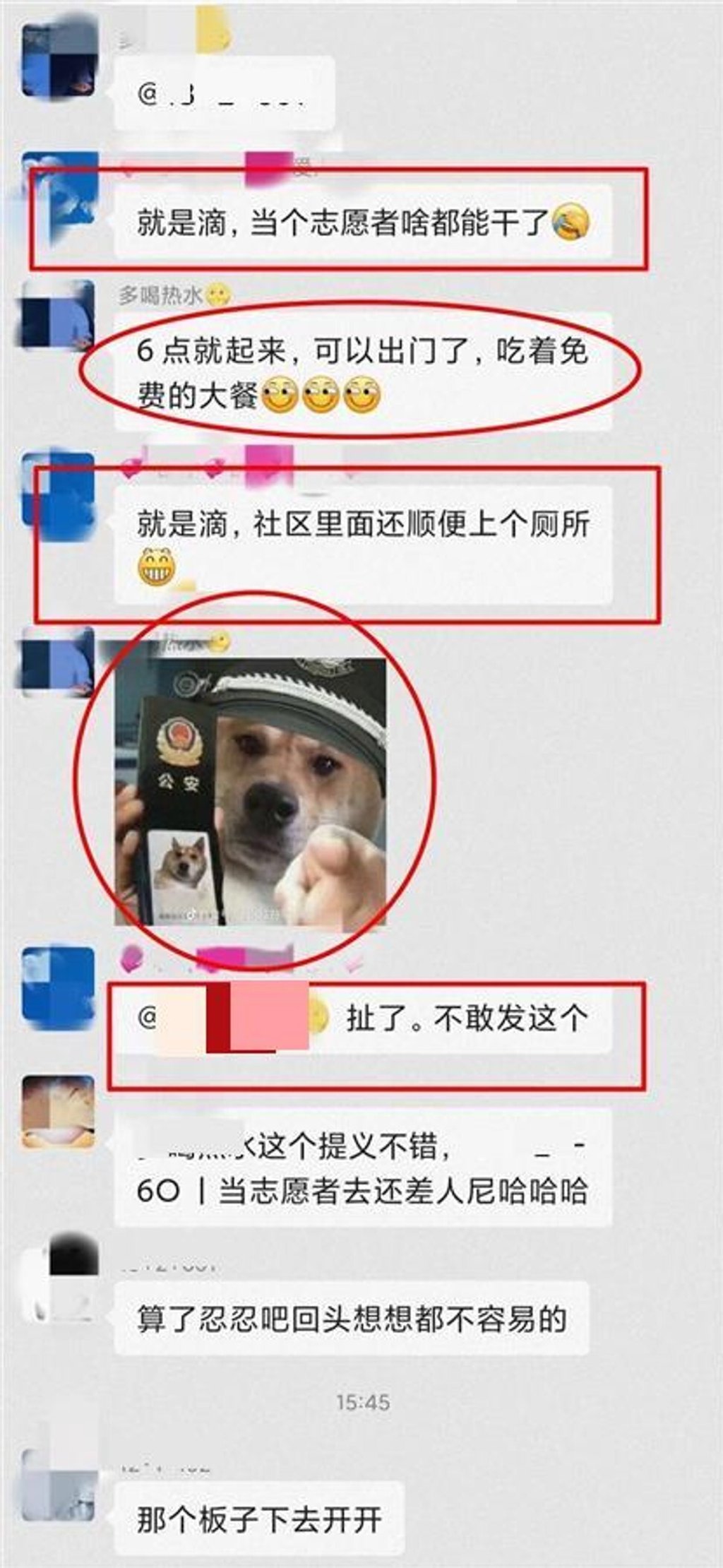 A man unhappy with Covid-19 control measures sent a meme of a dog wearing a police hat on WeChat and was detained for nine days by police. Photo: Handout