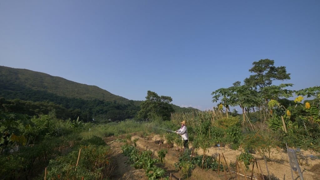 Residents of the remote village of Lai Chi Wo have learned new farming methods that will help maintain the biodiversity of the area.