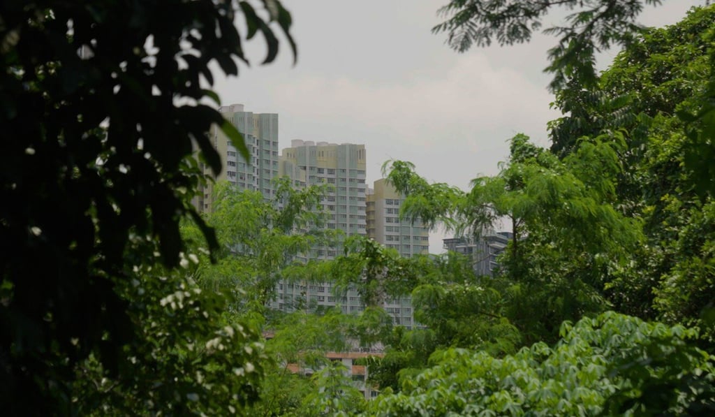 As an avid trail runner, Brice Li continues to be amazed by the proximity of Singapore’s forests to its city areas.