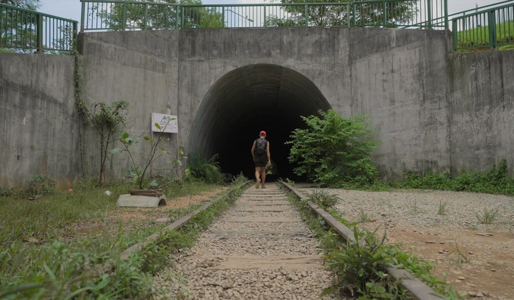 Singapore, known worldwide for its skyline of shiny skyscrapers, is also home to more than 7,800 hectares of green spaces and has unveiled plans to transform into a city in nature.