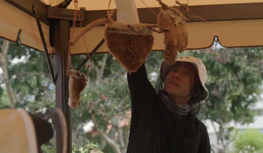 Clarence Chua’s rooftop farm experience business comprises three main features: a bee encounter, organic gardening of herbs such as basil and lemongrass and farm-to-table tastings.